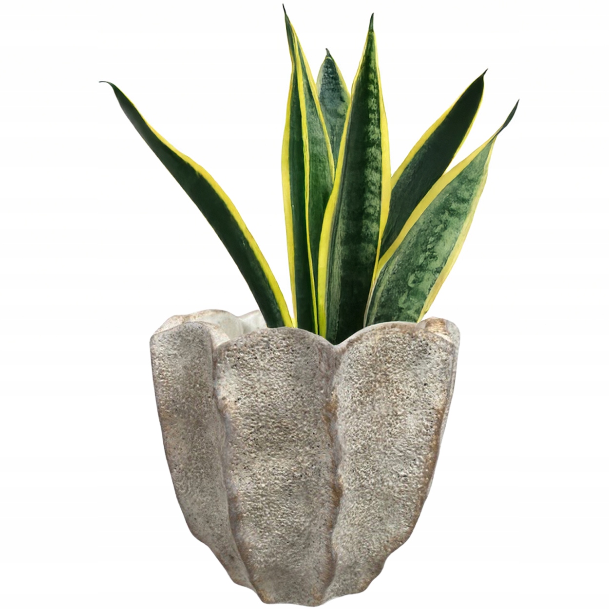 ŠEDÝ betónový kvetináč 16 cm, kryt na kvetináč, kvety na parapete, vres